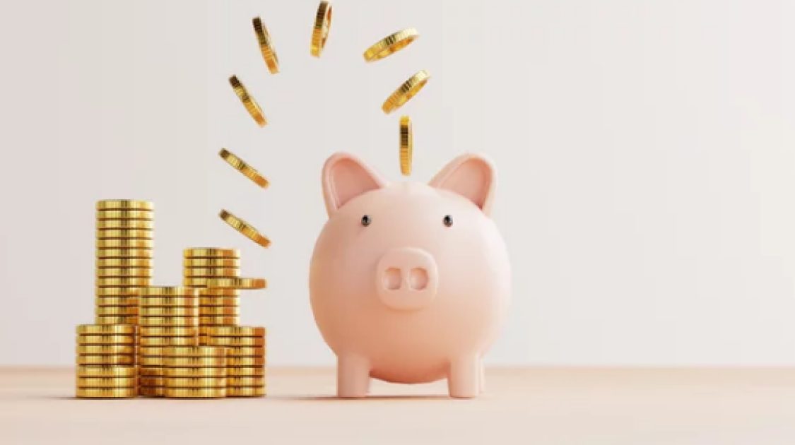 Overnight Fund