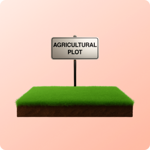 Agricultural Plots image
