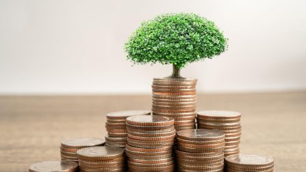 Reliance large cap fund