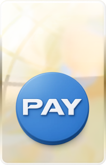 Bajaj Pay