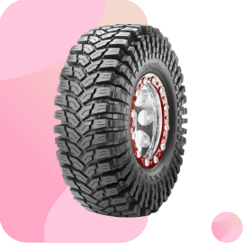 BG_tyre_typeoftyres_tyrewithtube_1_12dec25