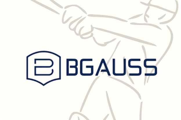 Bgauss image