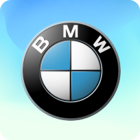 BMW image