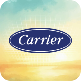 Carrier image