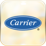 Carrier image