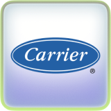 Carrier image