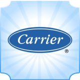 Carrier image