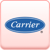 Carrier image