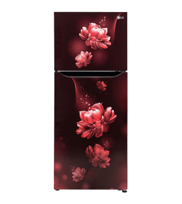 clp_refrigerator_toppicksfromlg_lg242l2starfrostfreedoubledoorrefrigeratorscarletcharmgln292bscy_7_19feb26
