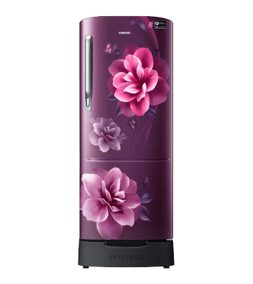 clp_refrigerator_toppicksfromsamsung_samsung183l3stardirectcoolsingledoorrefrigeratorcamelliapurplerr20c1823crhl_9_1may26