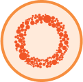 Curofy image