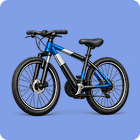 Cycles