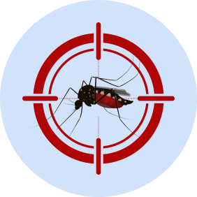 Dengue & Malaria cover image