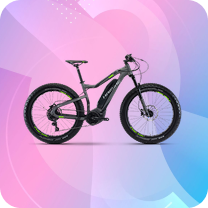 ई-बाइक image