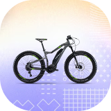 ई-बाइक image