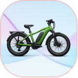 E-Bike image