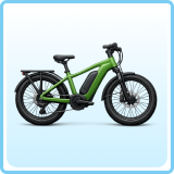 E-Bike image