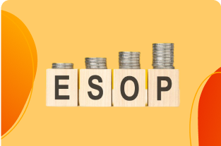 ESOP फाइनेंसिंग image