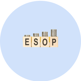 ESOP फाइनेंसिंग image