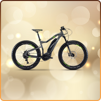 E-Bike image