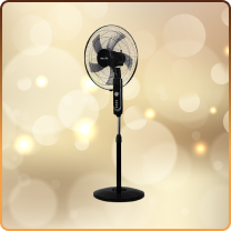 Fans image