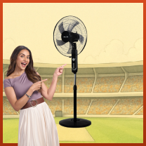 Fans image