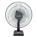 Fans