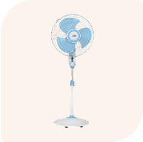 Fans image