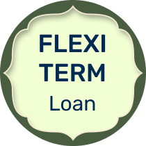 Flexi Term Loan