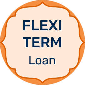 Flexi Term Loan