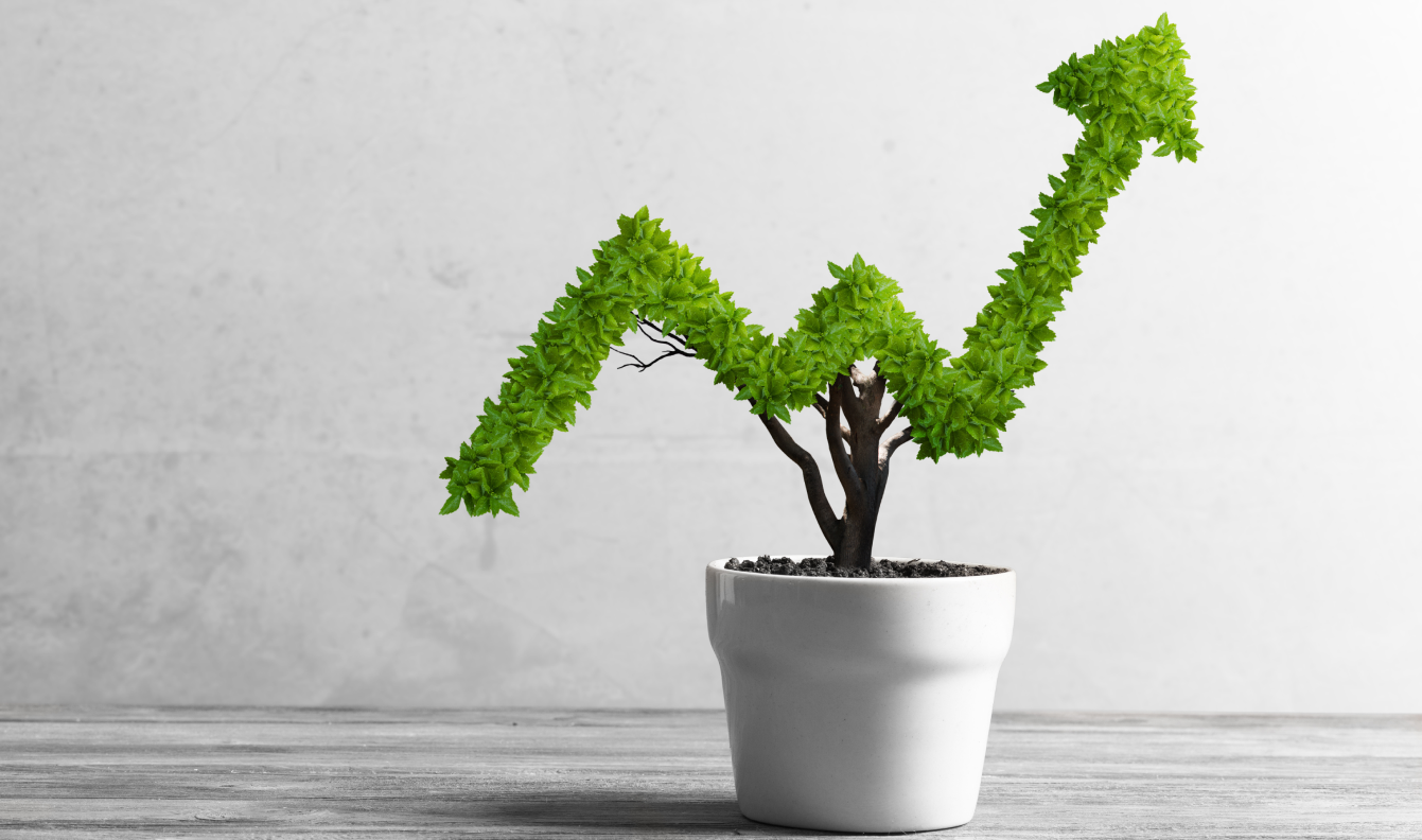 Short-term stocks