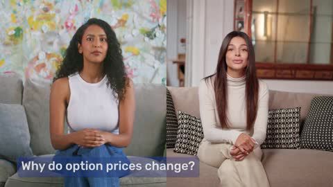 Which factors affect option prices?