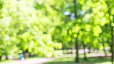 फिटनेस ट्रैकिंग के लिए स्मार्टवॉच कैसे चुनें