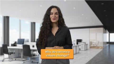 What factors influence foreign exchange rates?