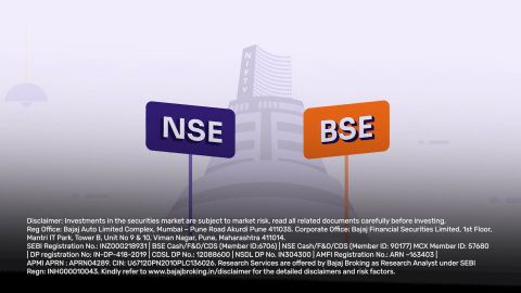 How Does the Stock Market Work