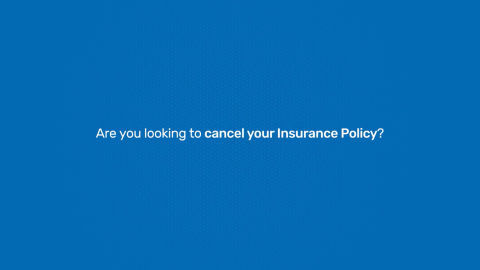 How to cancel your insurance policy In our customer portal - My Account
