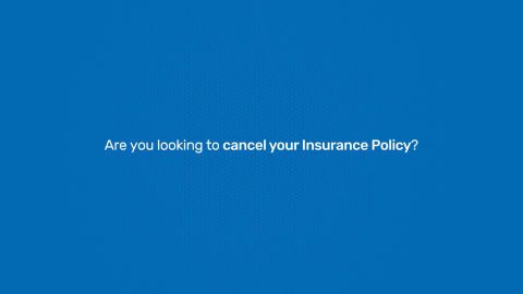 How to cancel your insurance policy In our customer portal - My Account
