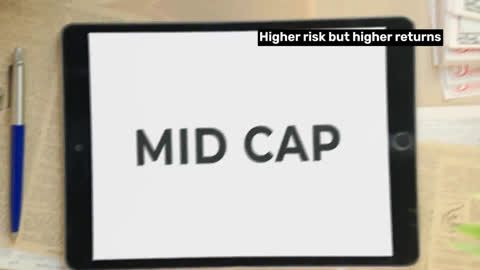 Who should invest in Mid Cap funds?