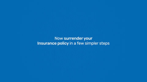 How to surrender your insurance policy In our customer portal - My Account
