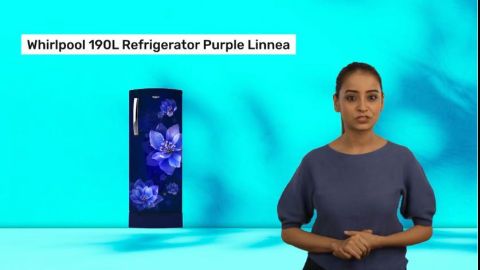 Try the 190L, 2-star Purple Linnea fridge