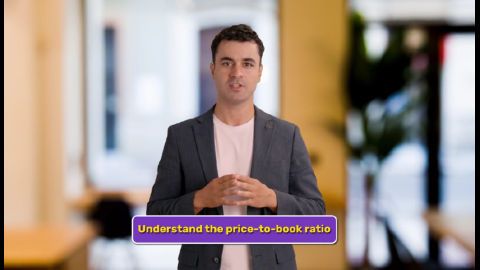 What is the Price-to-Book Ratio?