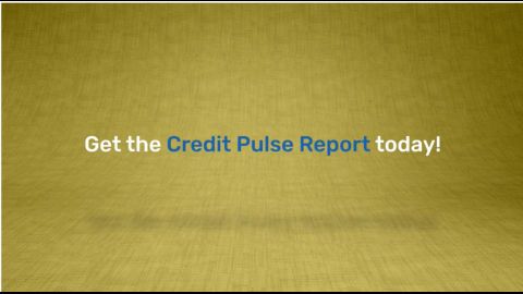 Features and benefits of the Credit Pulse Report