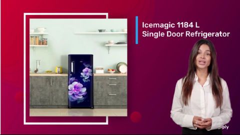 Buy the 184L, 1-star Sapphire Rosely edition