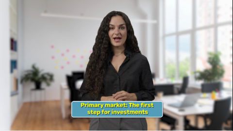 What is the primary market?