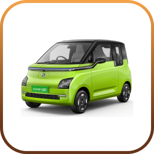 Get New EV image