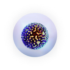 Hepatitis B