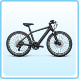 Hybrid Cycle image