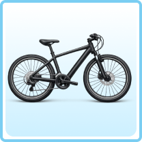 Hybrid Cycle image