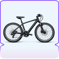 Hybrid Cycle image