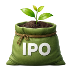 Invest in IPO